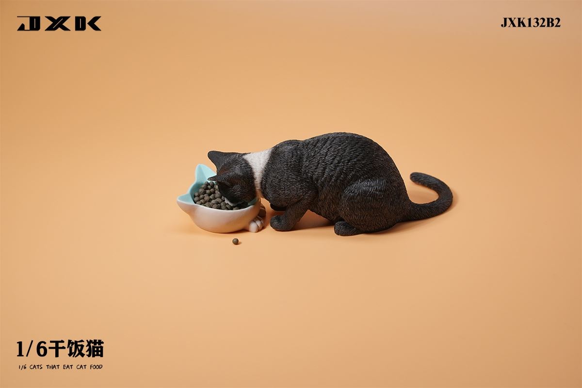 Dry Rice Cat 1/6