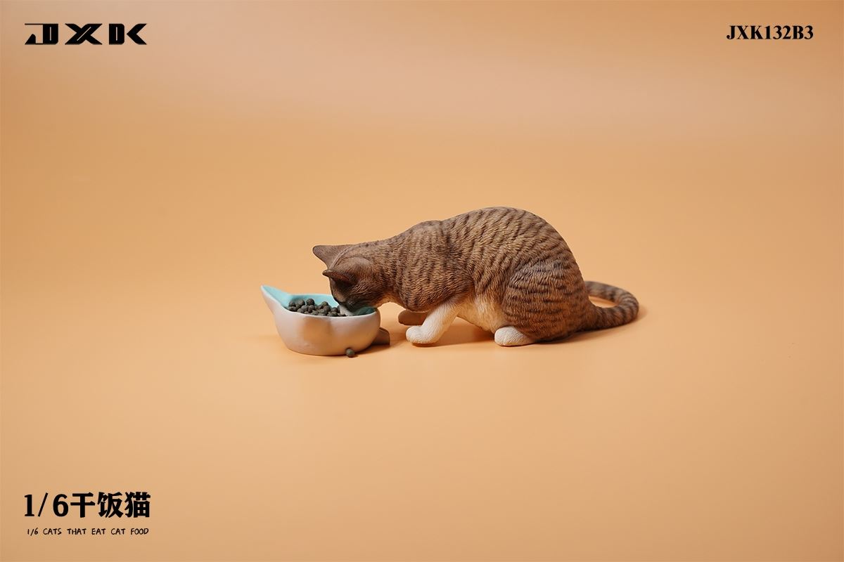Dry Rice Cat 1/6