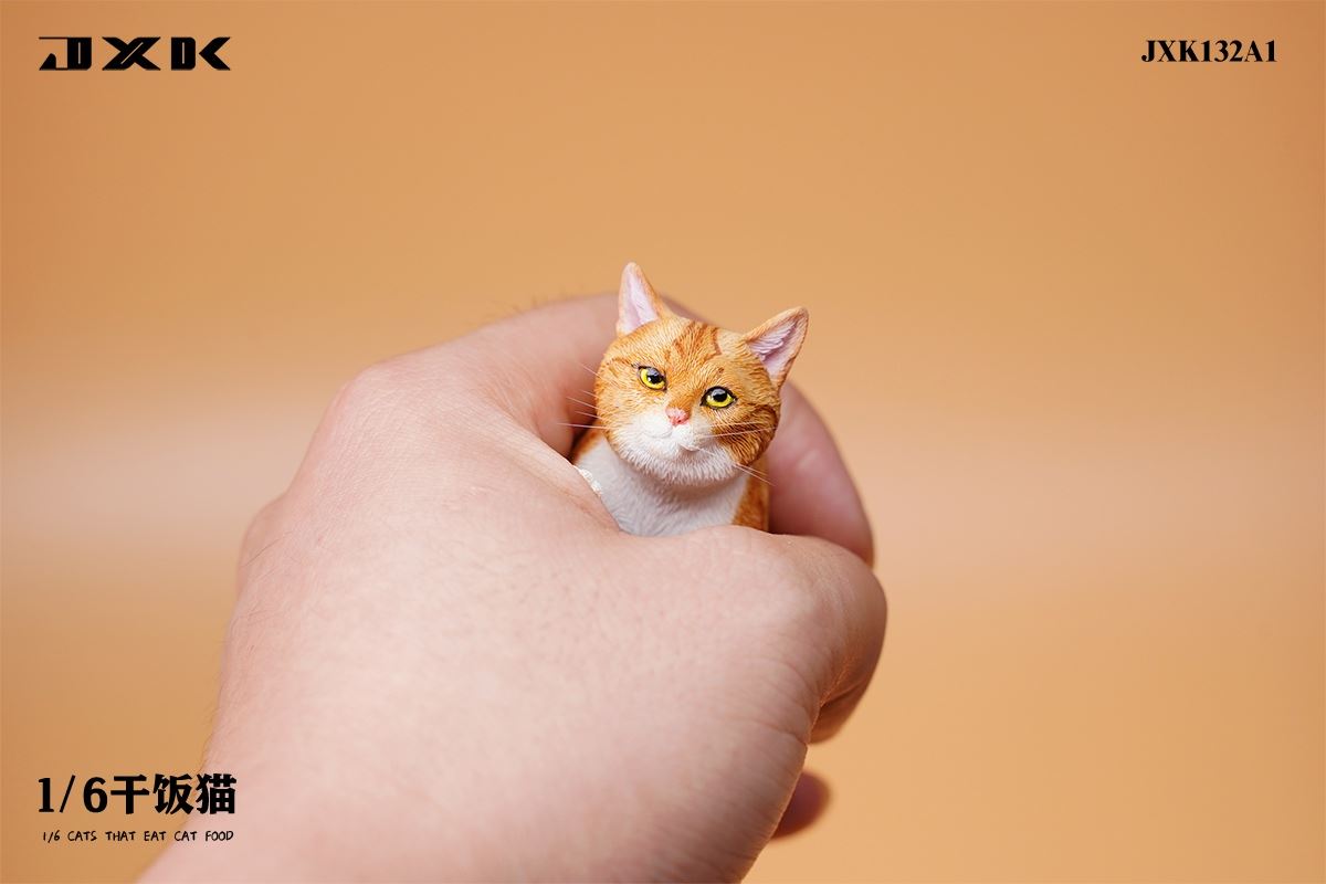 Dry Rice Cat 1/6