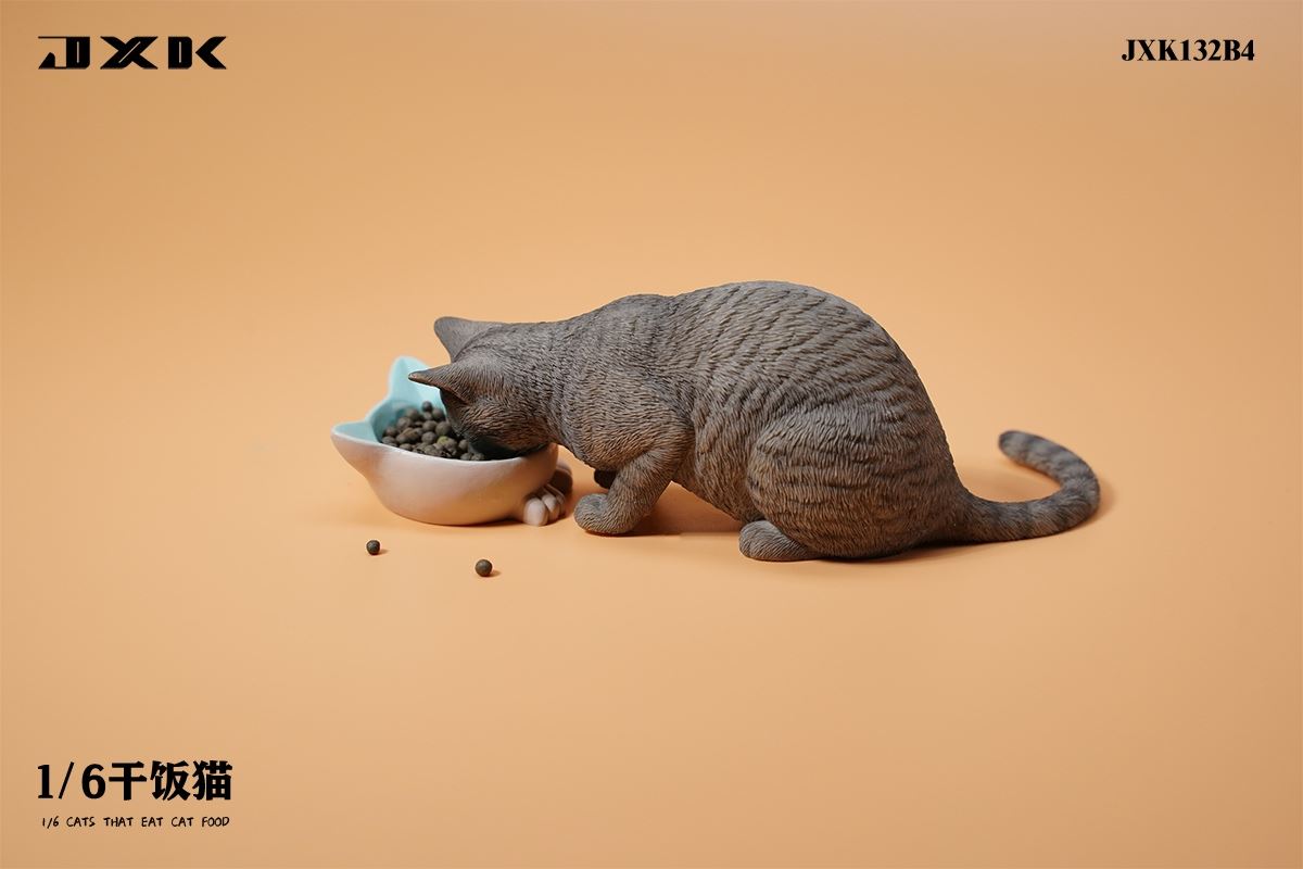 Dry Rice Cat 1/6