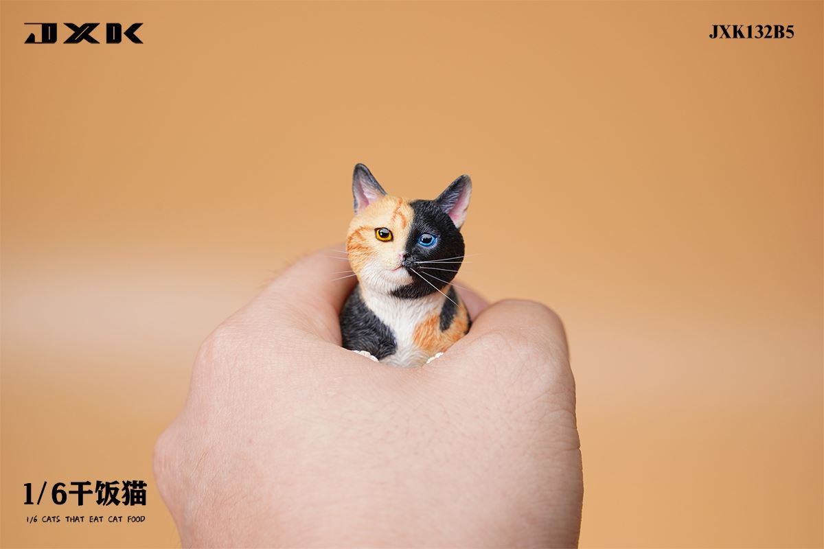 Dry Rice Cat 1/6