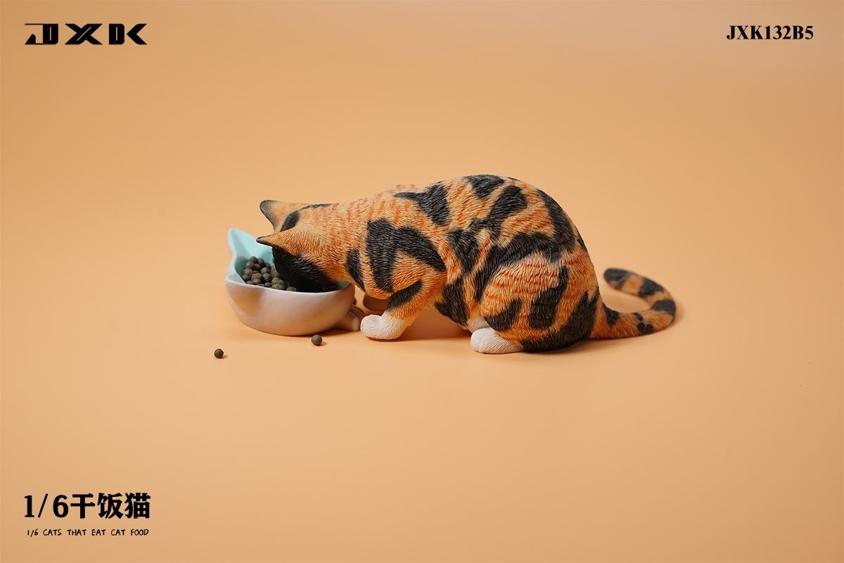Dry Rice Cat 1/6