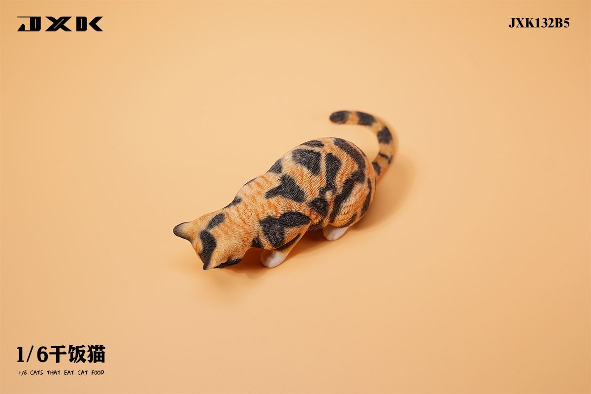 Dry Rice Cat 1/6