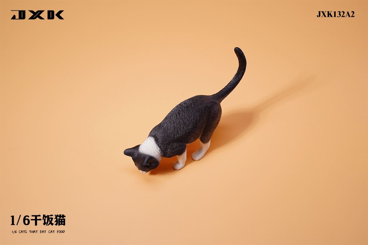 Dry Rice Cat 1/6