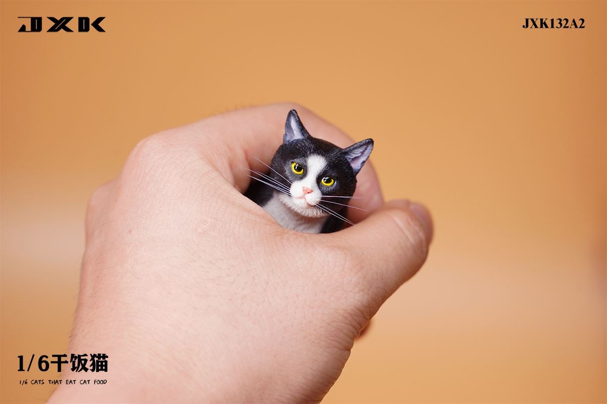 Dry Rice Cat 1/6