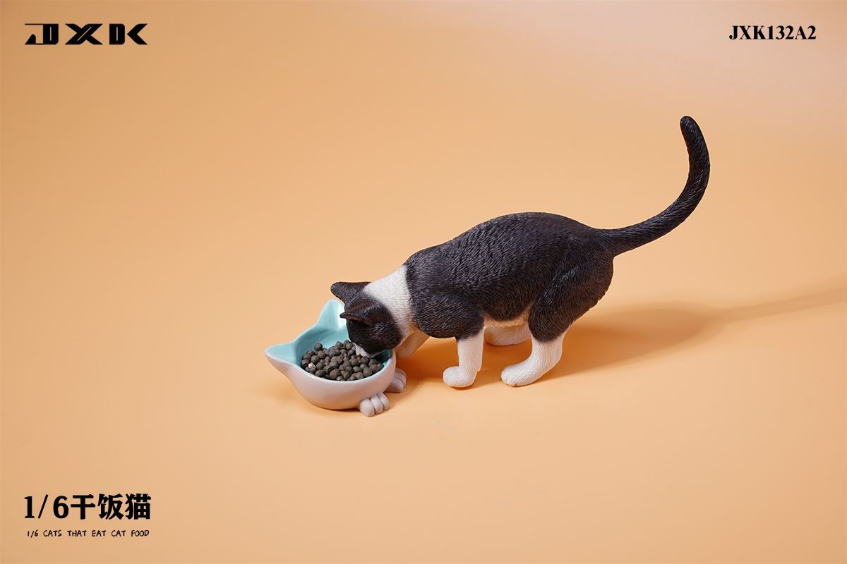 Dry Rice Cat 1/6