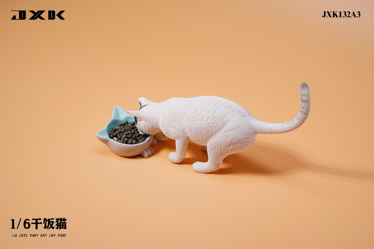 Dry Rice Cat 1/6