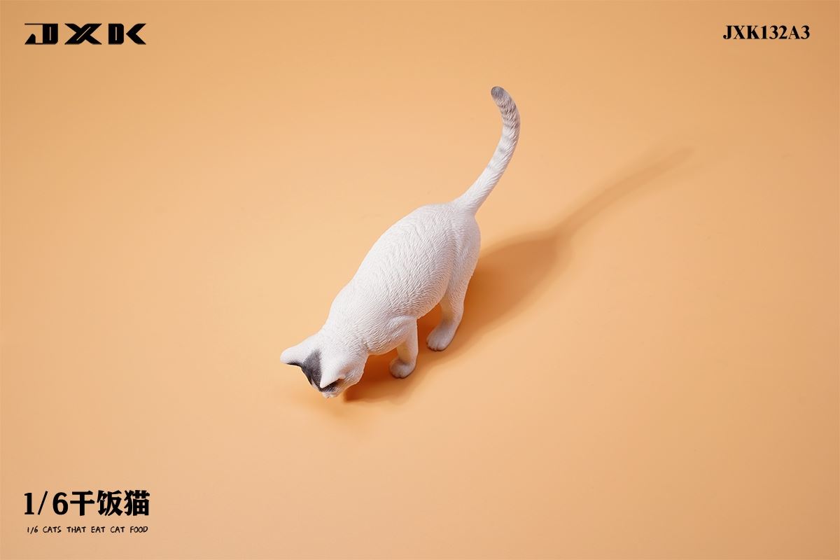 Dry Rice Cat 1/6