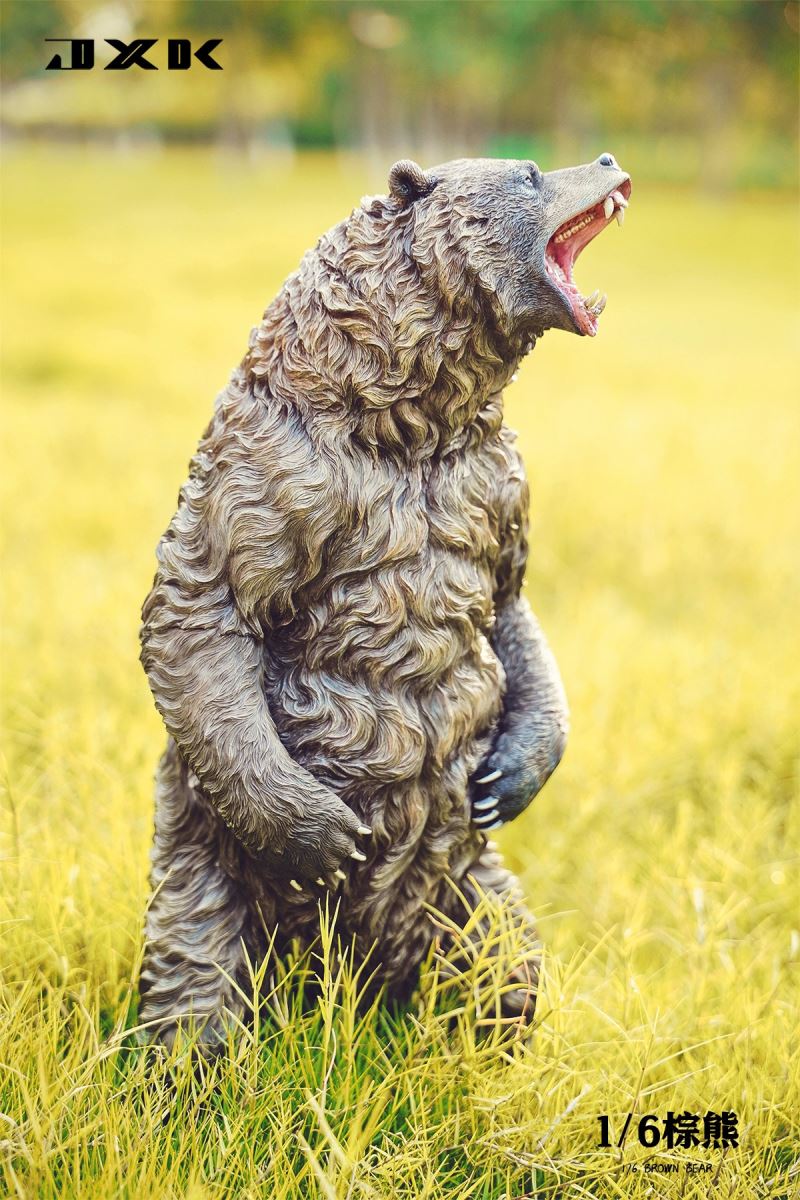 Brown bear 1/6