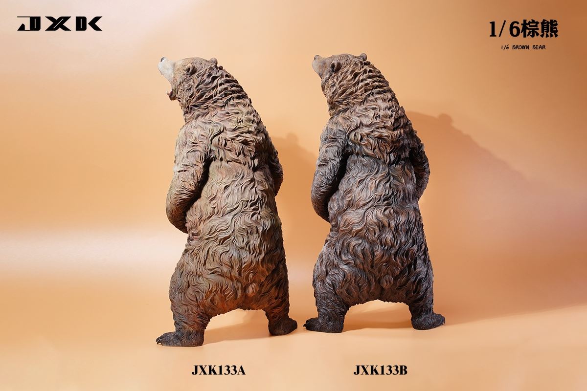 Brown bear 1/6