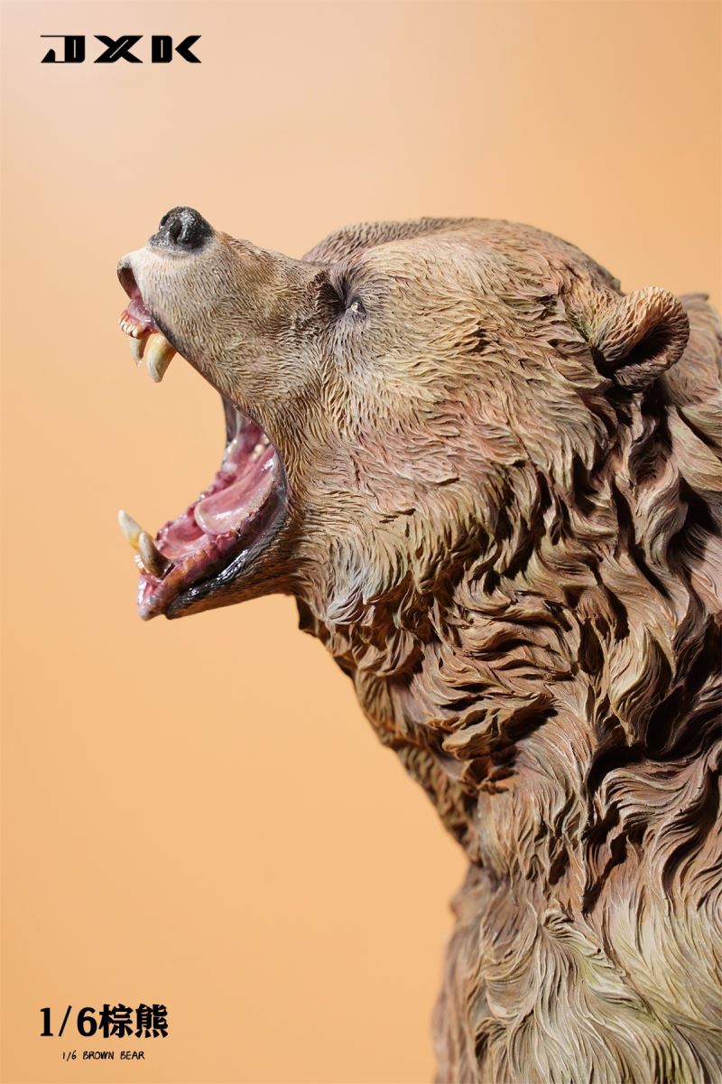 Brown bear 1/6