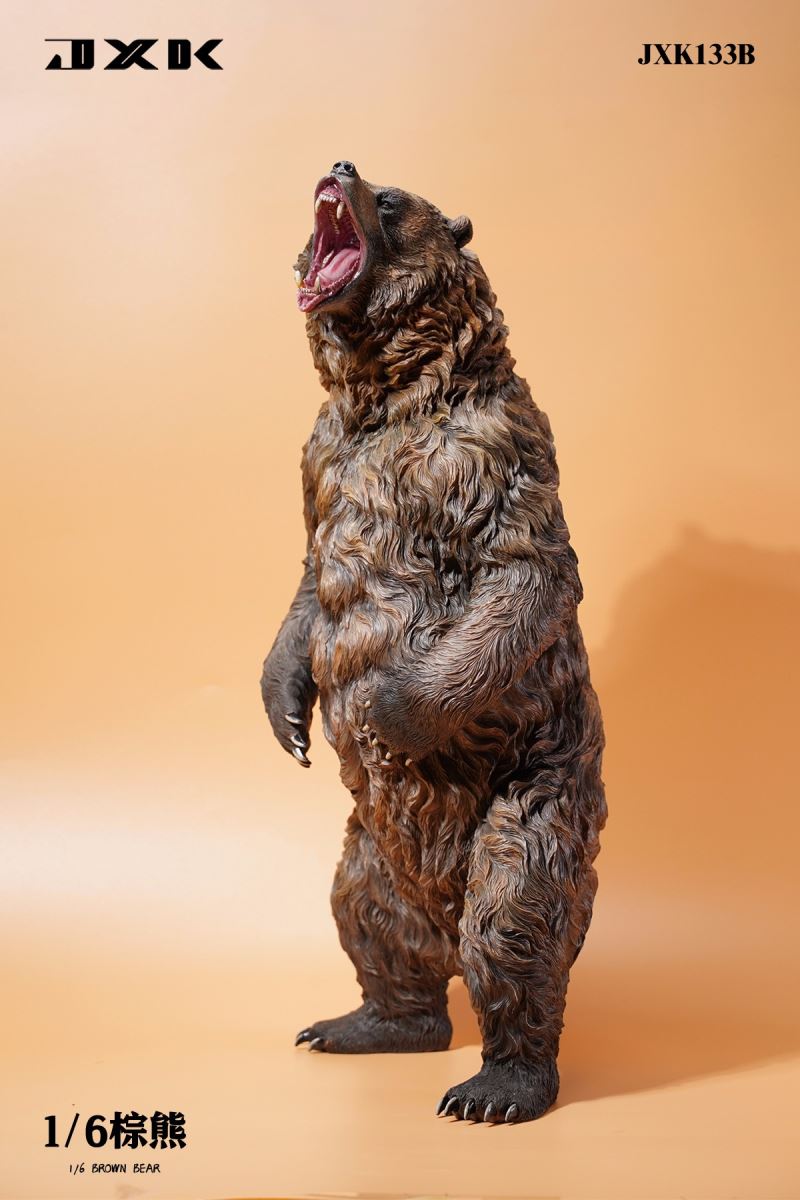 Brown bear 1/6