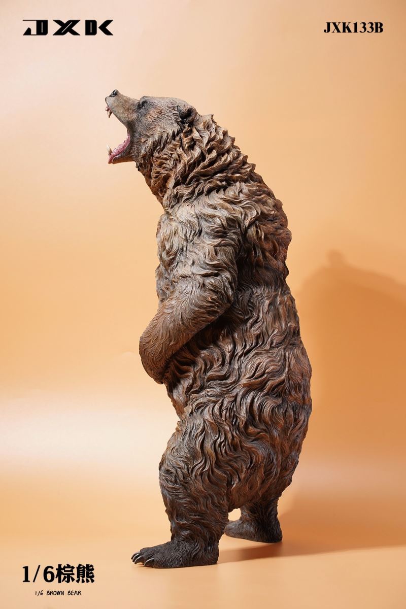 Brown bear 1/6