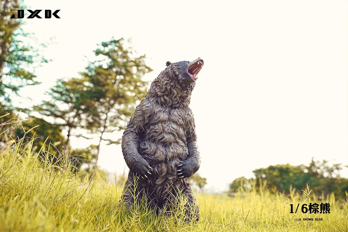 Brown bear 1/6