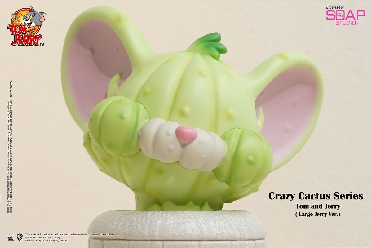 Tom and Jerry Crazy Cactus