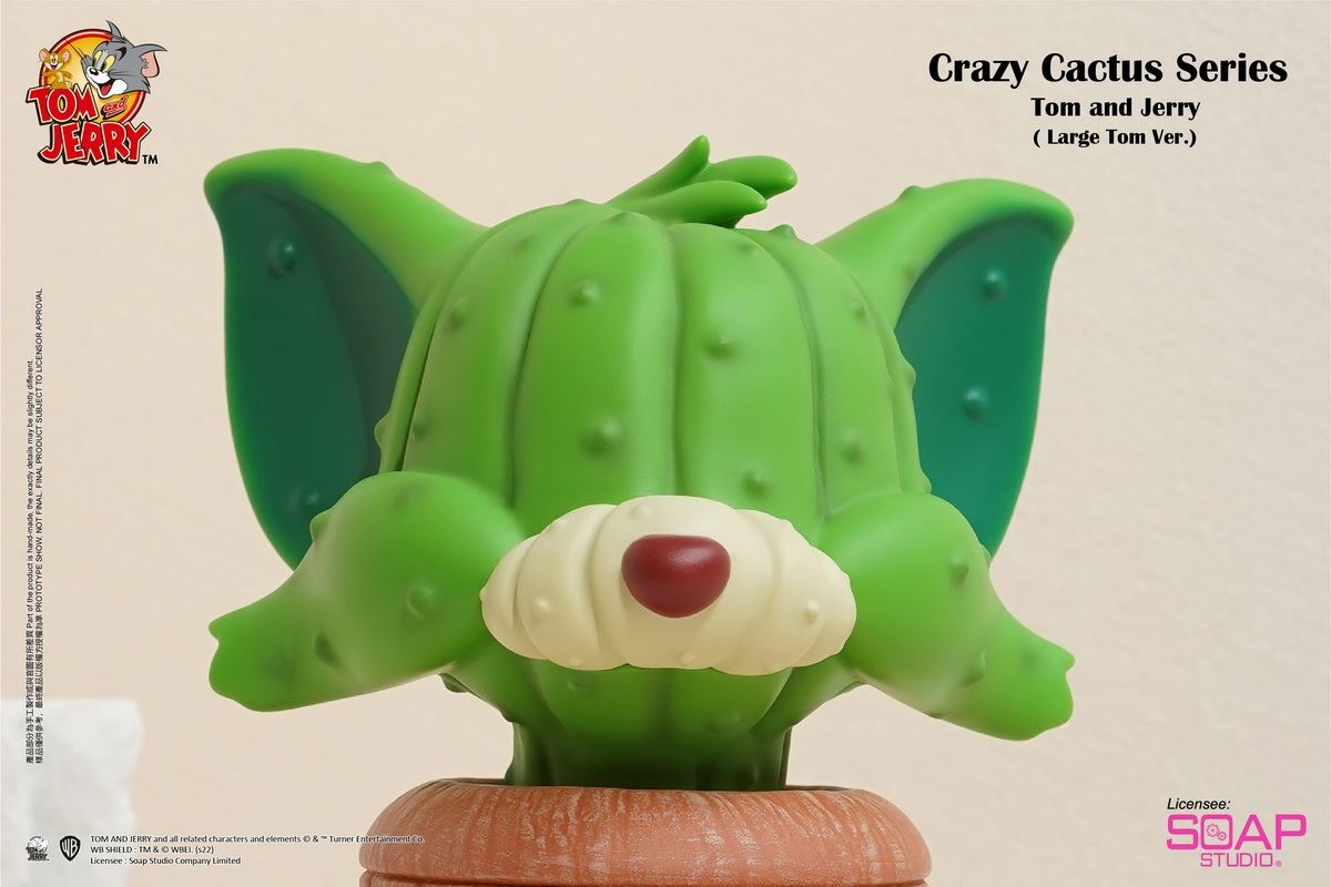 Tom and Jerry Crazy Cactus