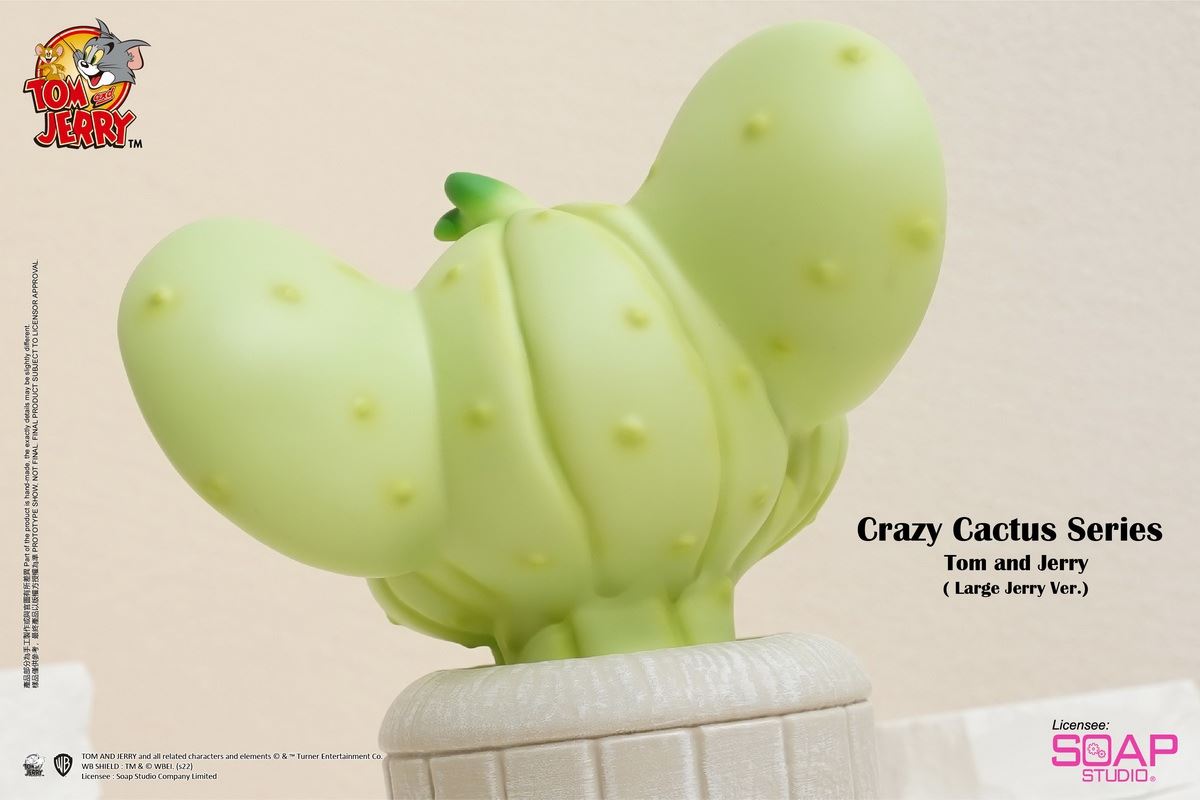 Tom and Jerry Crazy Cactus