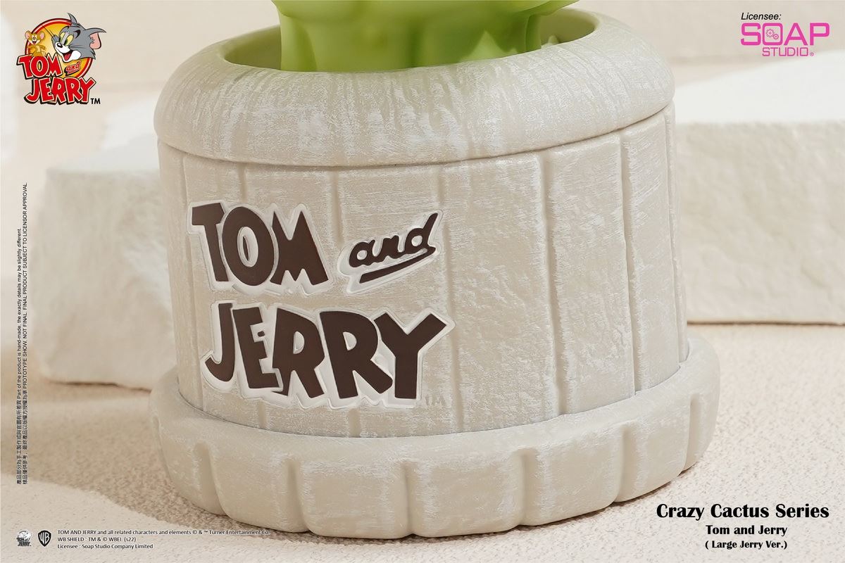 Tom and Jerry Crazy Cactus