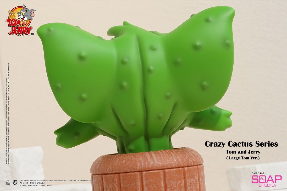 Tom and Jerry Crazy Cactus