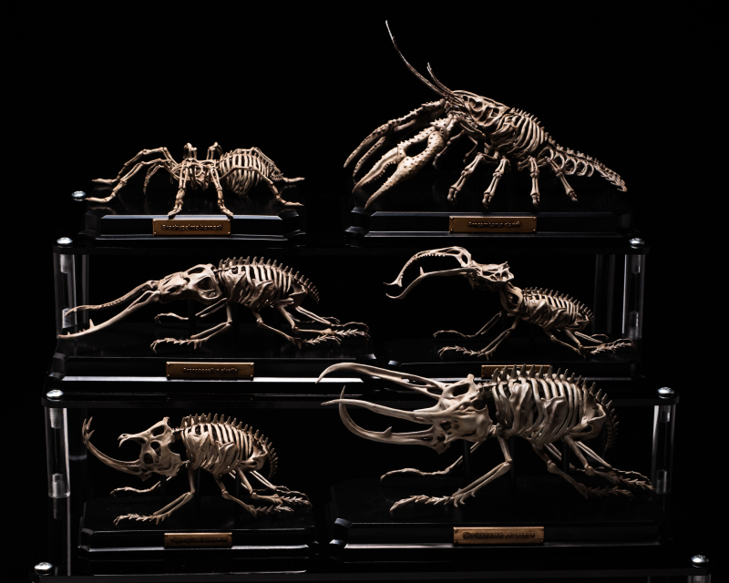 Endoskeleton Specimen Museum