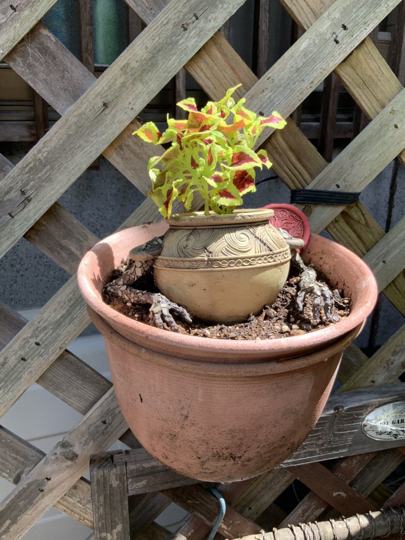 Eldren Ring Potman