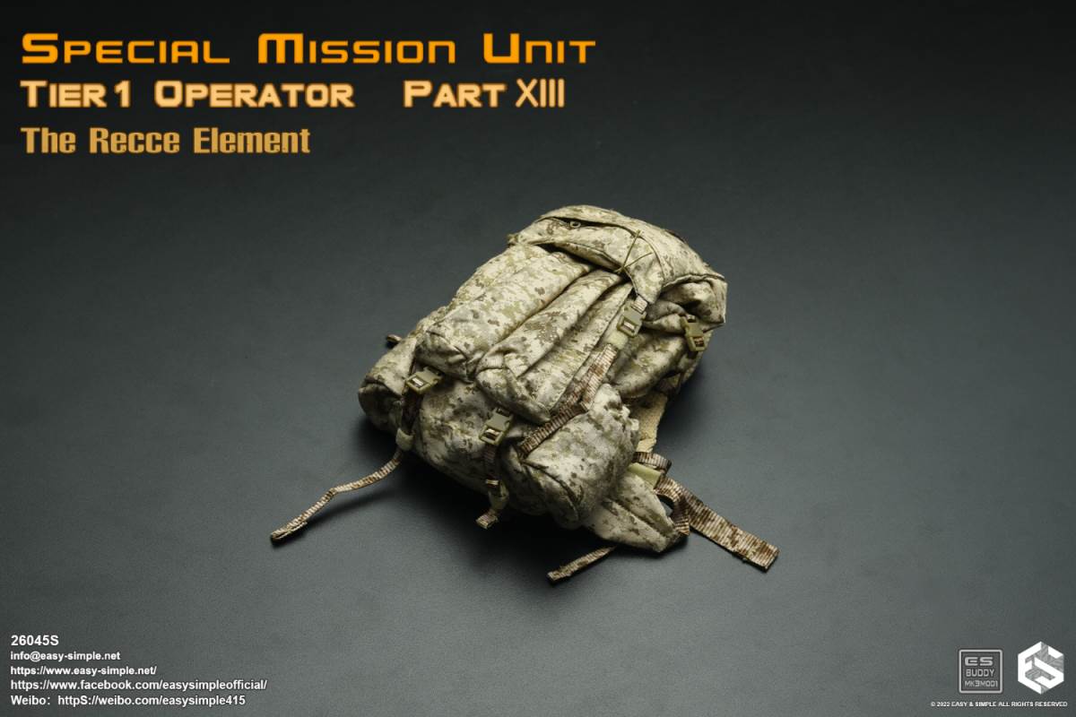 Special Task Unit 1st Tier 13 Scout Squad 1/6