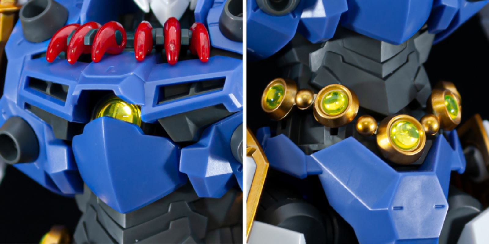 HG Amplified IMGN Ryujin Maru