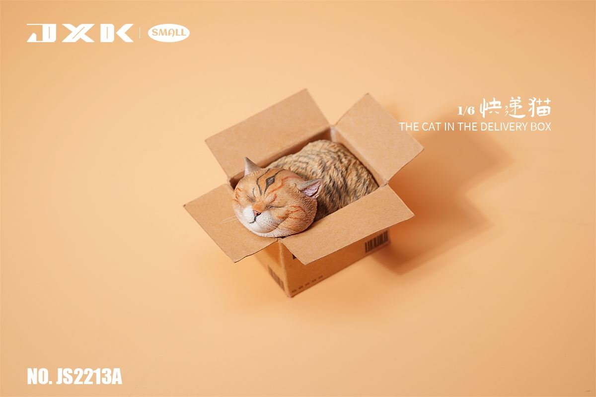 The Cat In The Delivery Box 1/6
