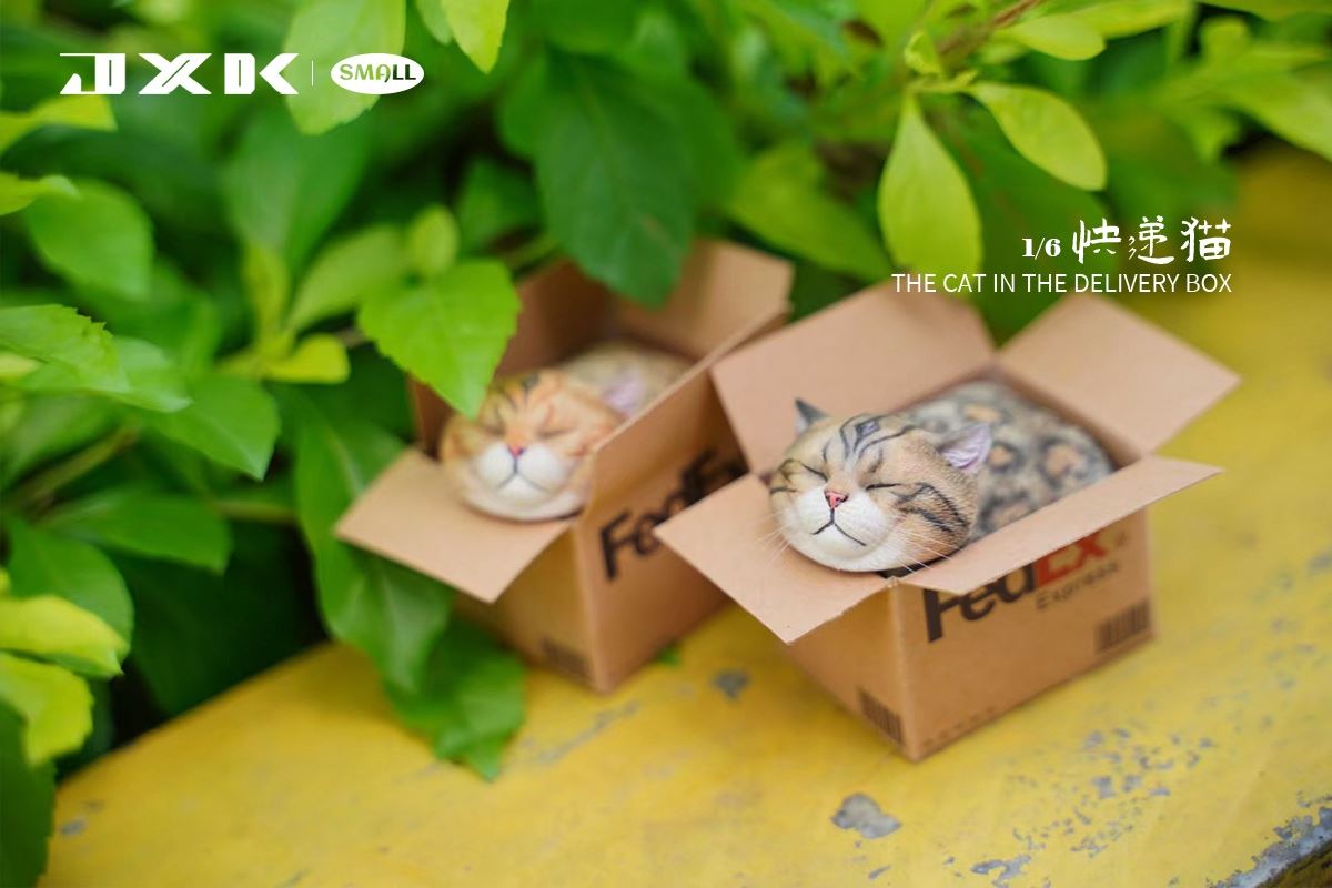 The Cat In The Delivery Box 1/6