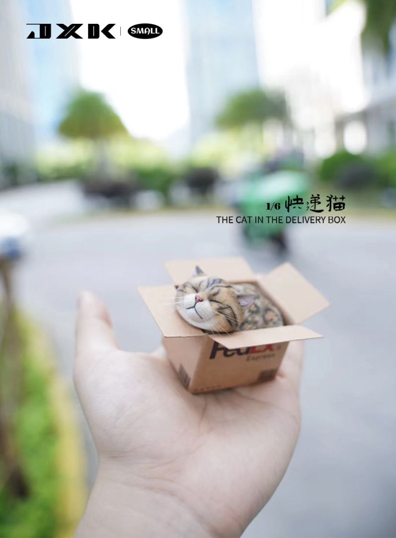 The Cat In The Delivery Box 1/6