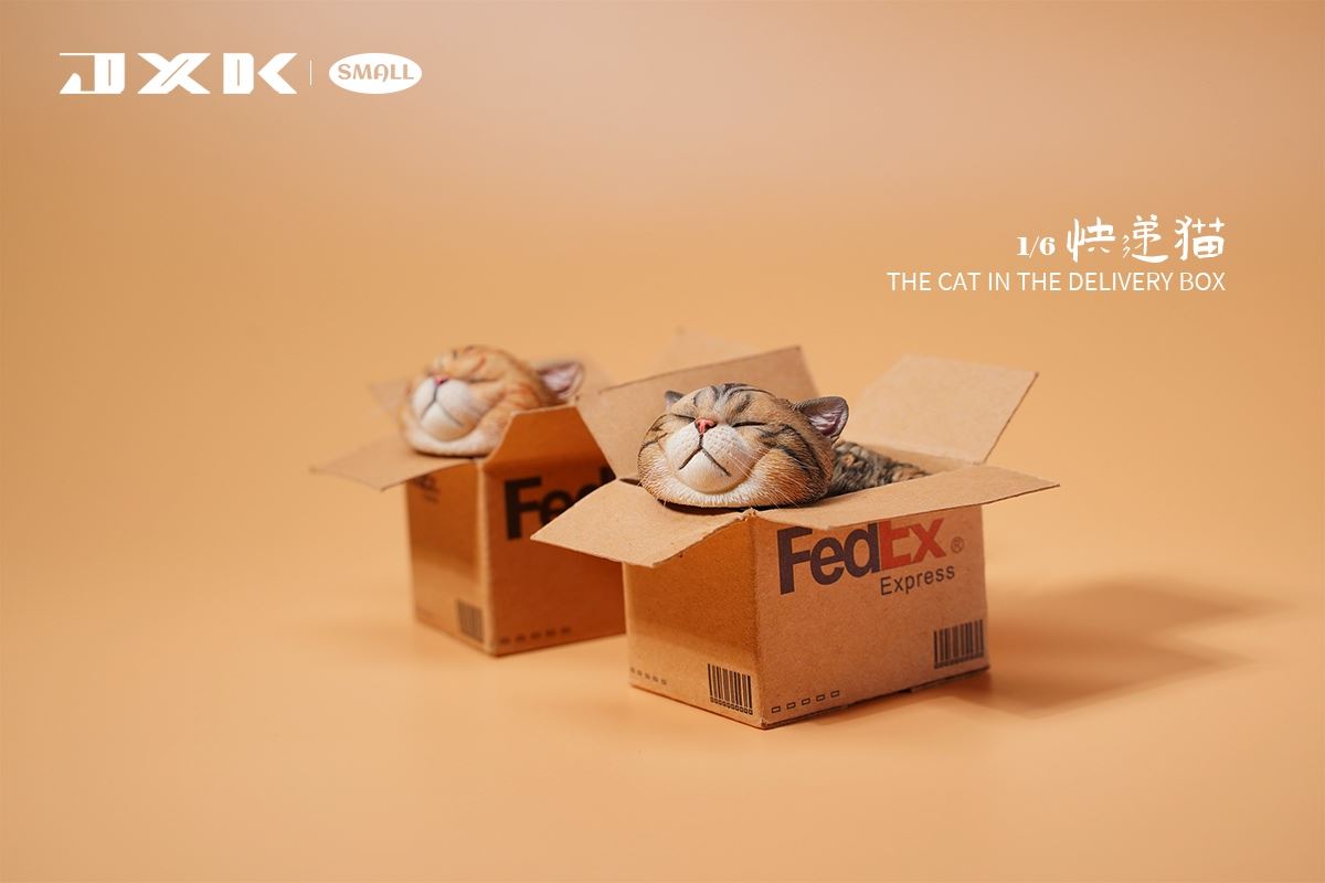 The Cat In The Delivery Box 1/6