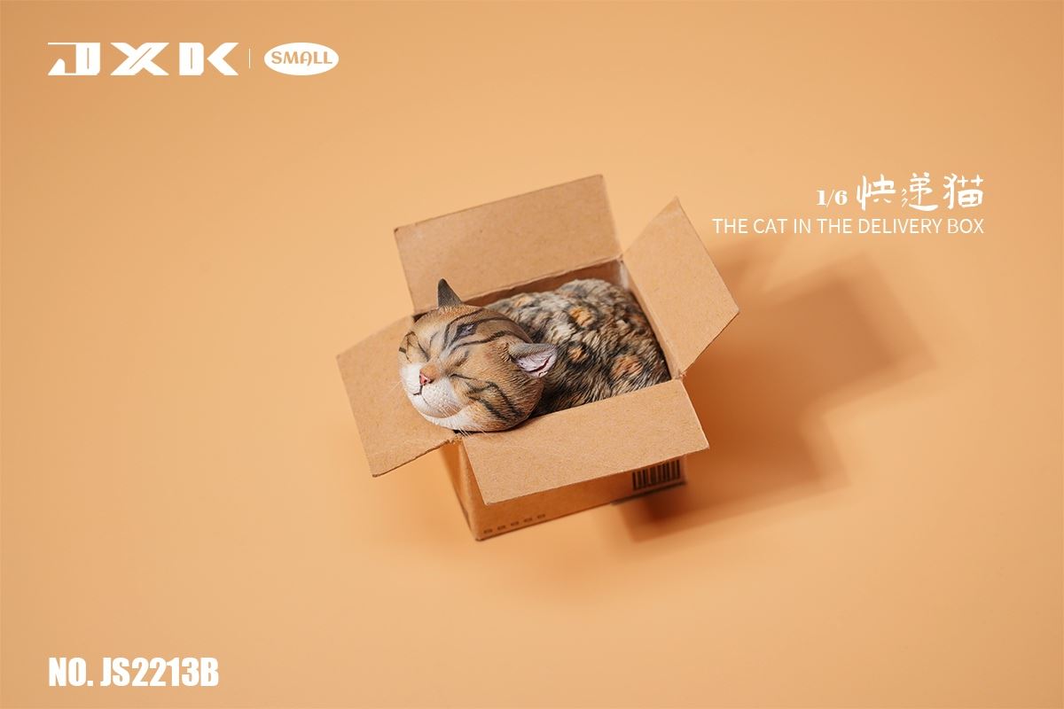 The Cat In The Delivery Box 1/6