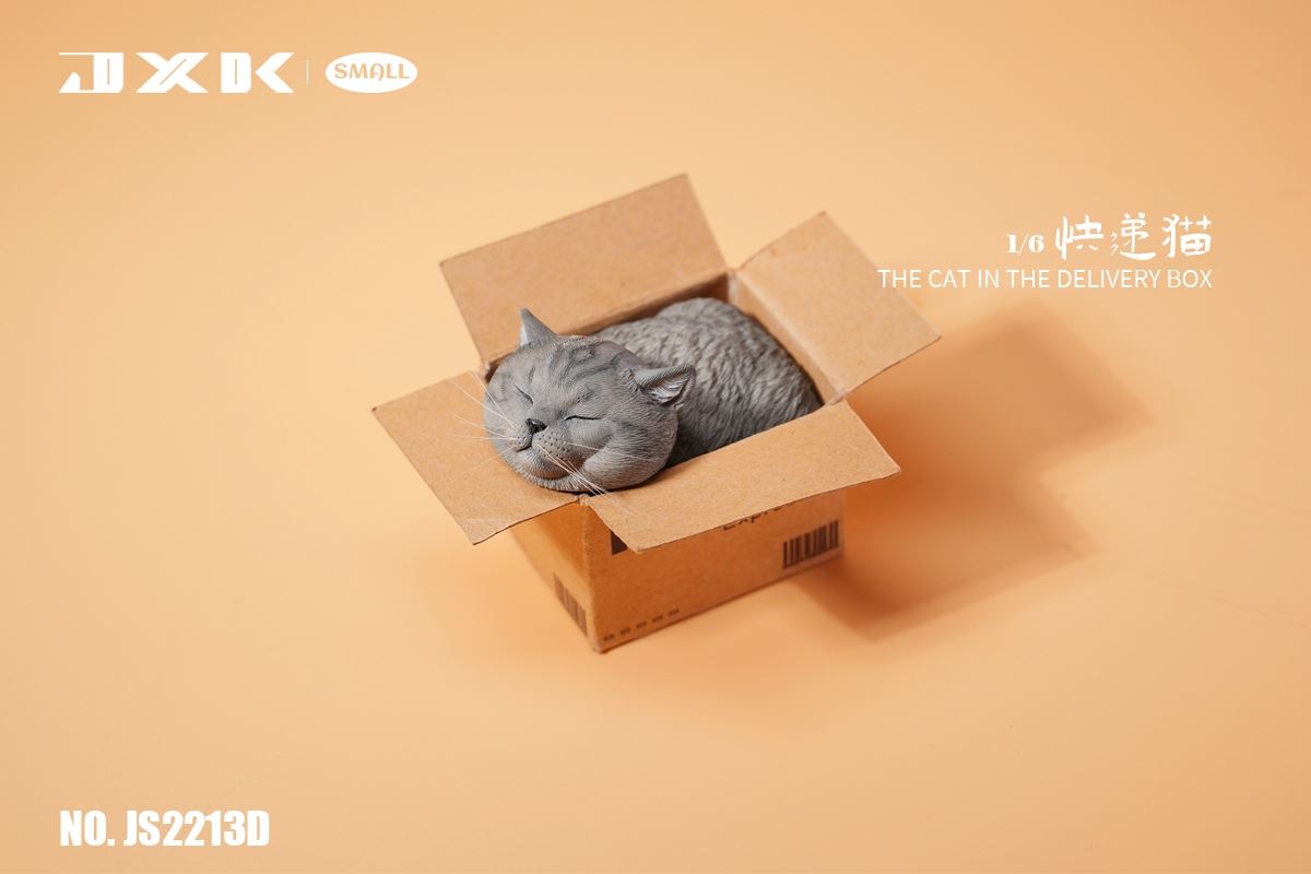 The Cat In The Delivery Box 1/6