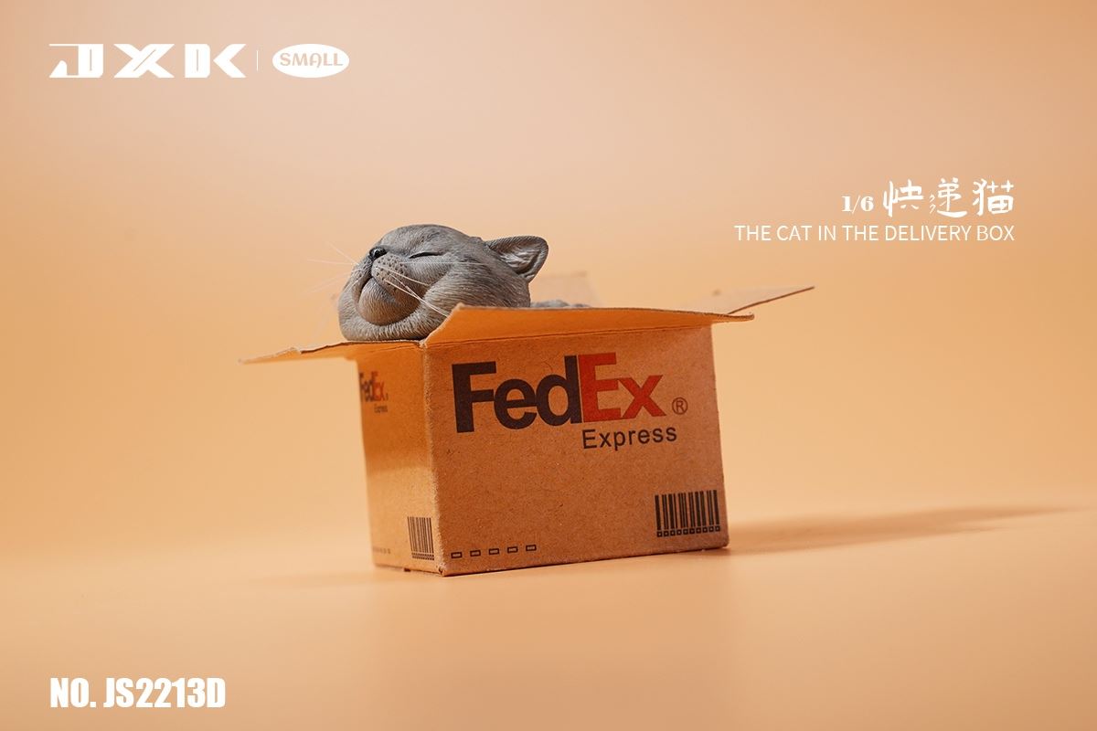 The Cat In The Delivery Box 1/6