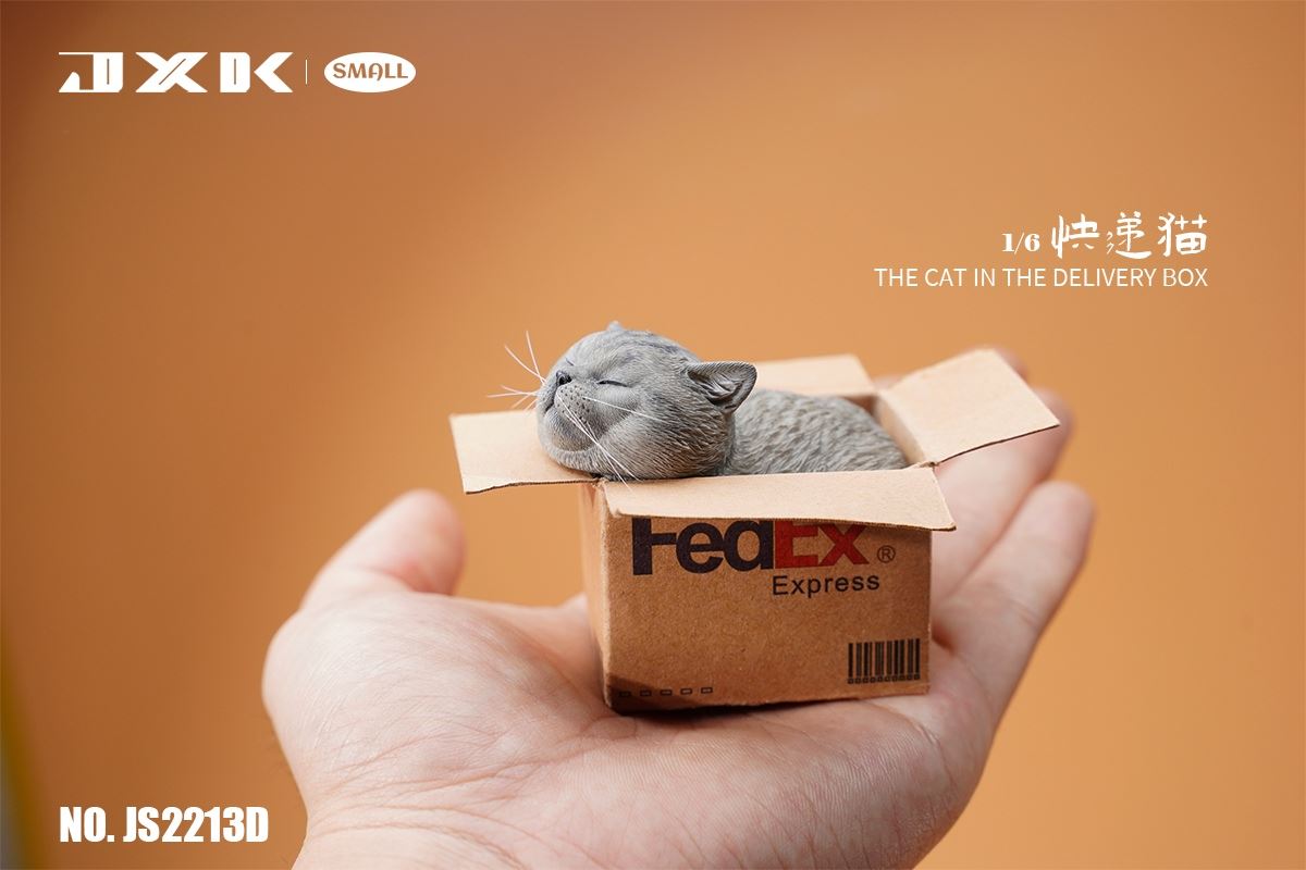 The Cat In The Delivery Box 1/6
