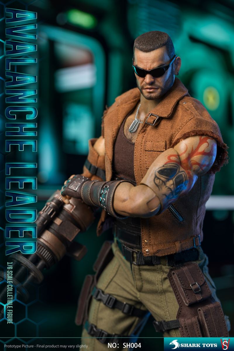 Avalanche Leader 1/6