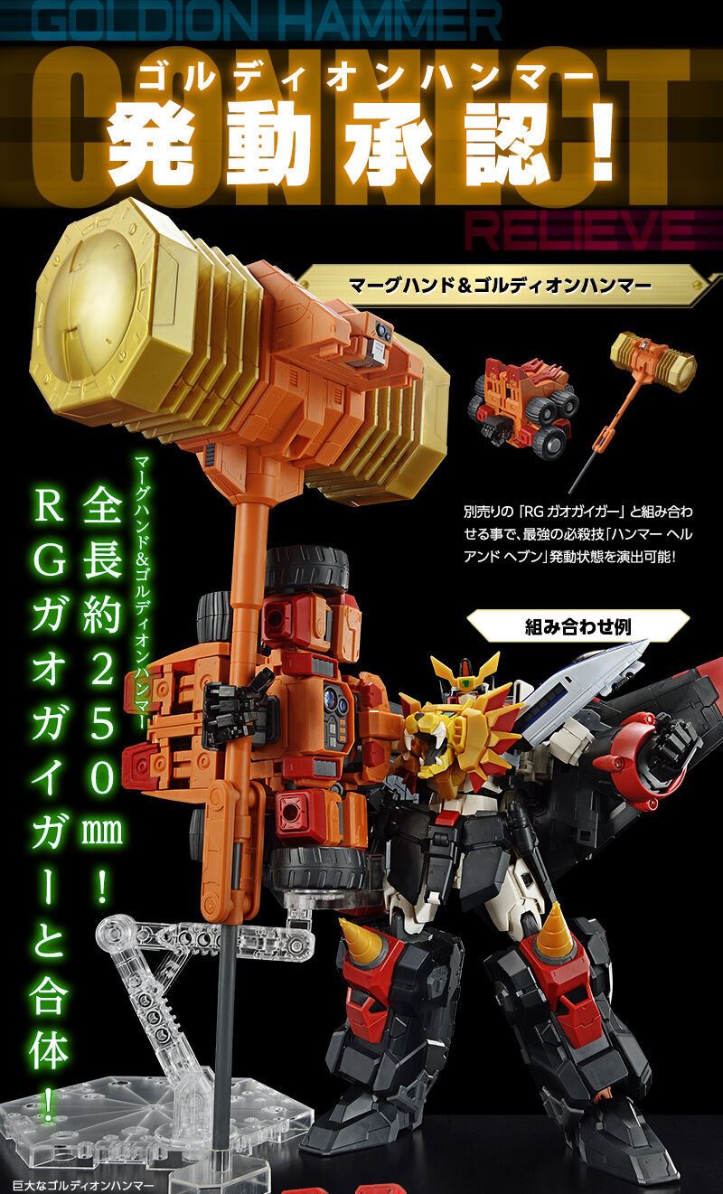 RG Gaogaigar