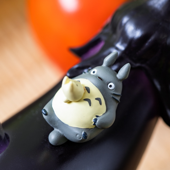 My Neighbor Totoro Vegetable Round Insert