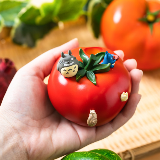 My Neighbor Totoro Vegetable Round Insert