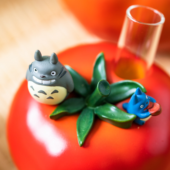 My Neighbor Totoro Vegetable Round Insert