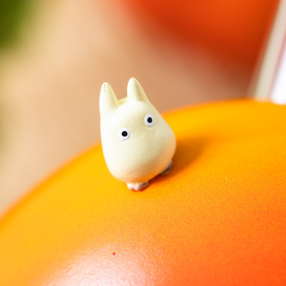 My Neighbor Totoro Vegetable Round Insert