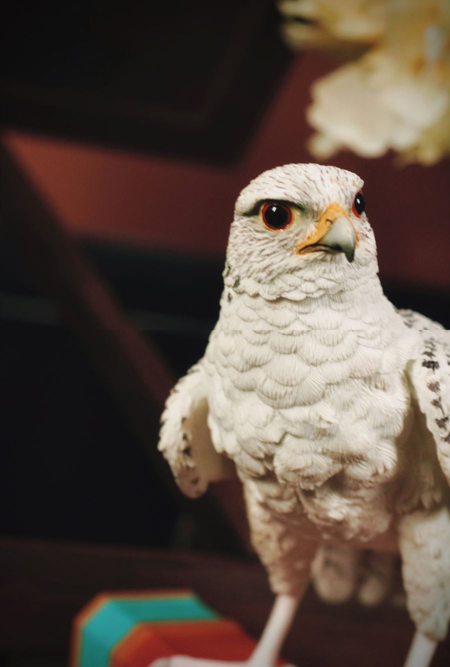 White Jade Claw Falco Rusticolus 1/3