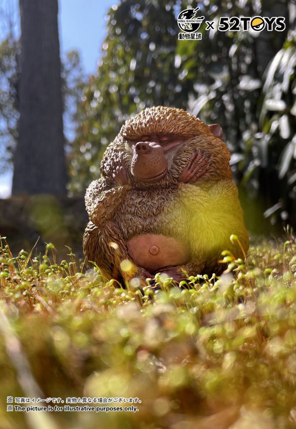 Dolphin-tailed Baboon