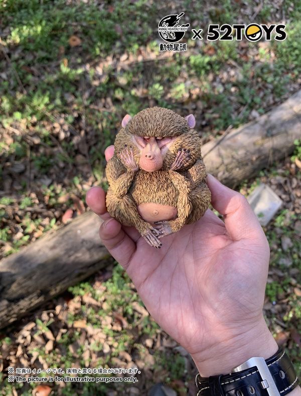 Dolphin-tailed Baboon