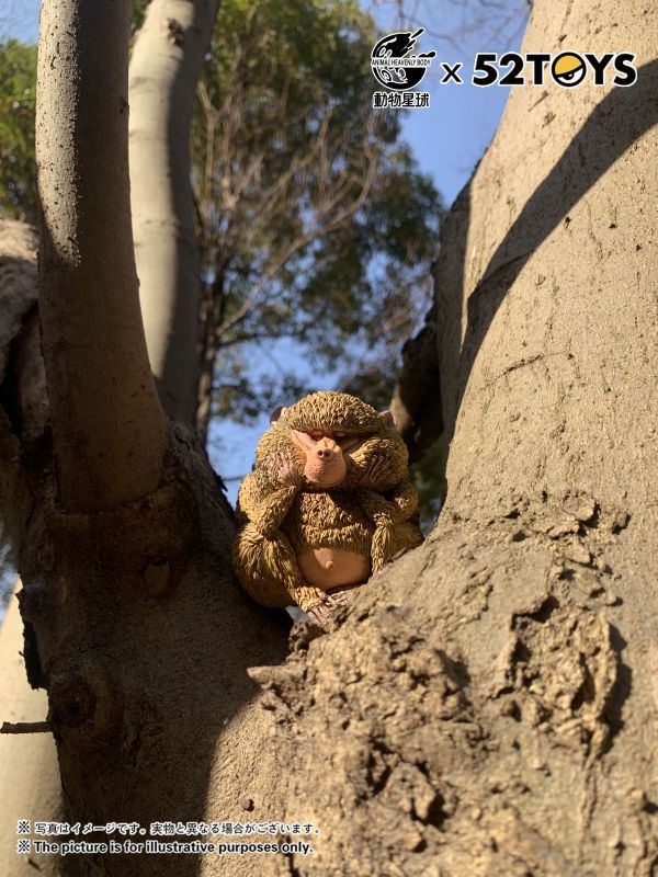 Dolphin-tailed Baboon