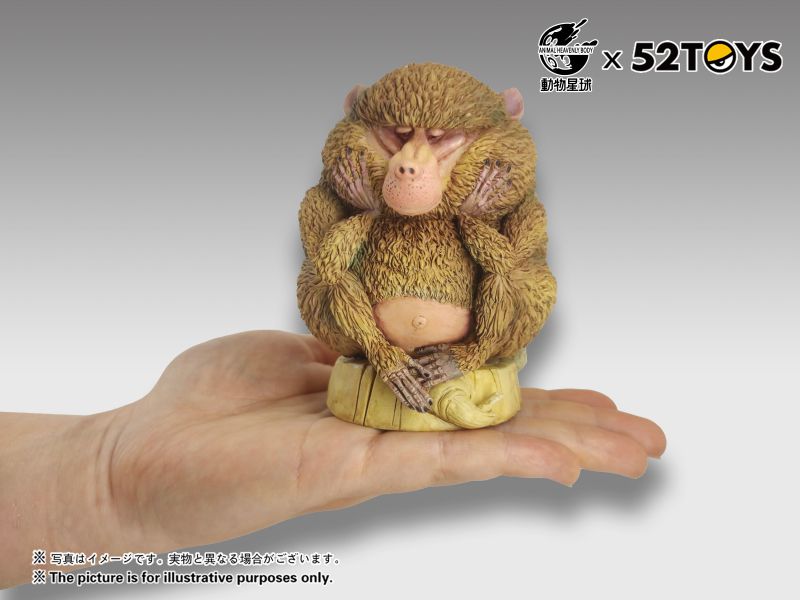 Dolphin-tailed Baboon