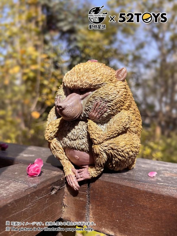 Dolphin-tailed Baboon