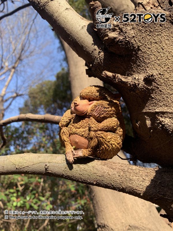 Dolphin-tailed Baboon