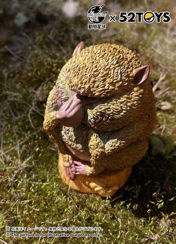 Dolphin-tailed Baboon