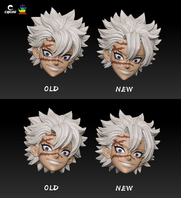 Wind Hashira Shinazugawa Sanemi